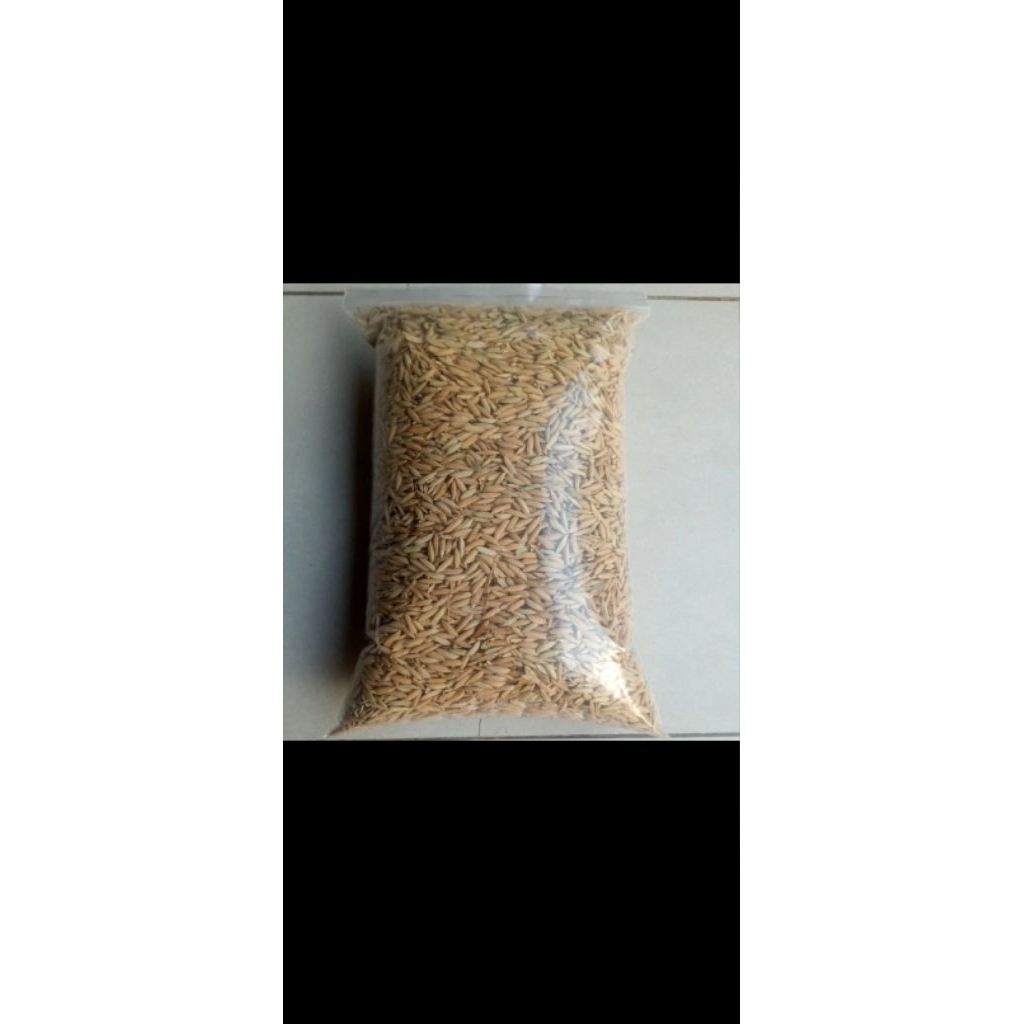 gabah beras putih 1kg