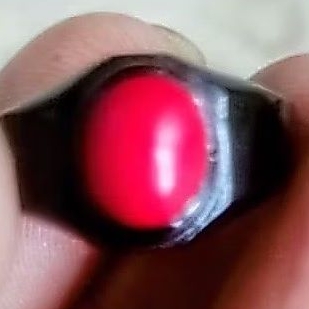 Batu Marjan Laut Merah Asli