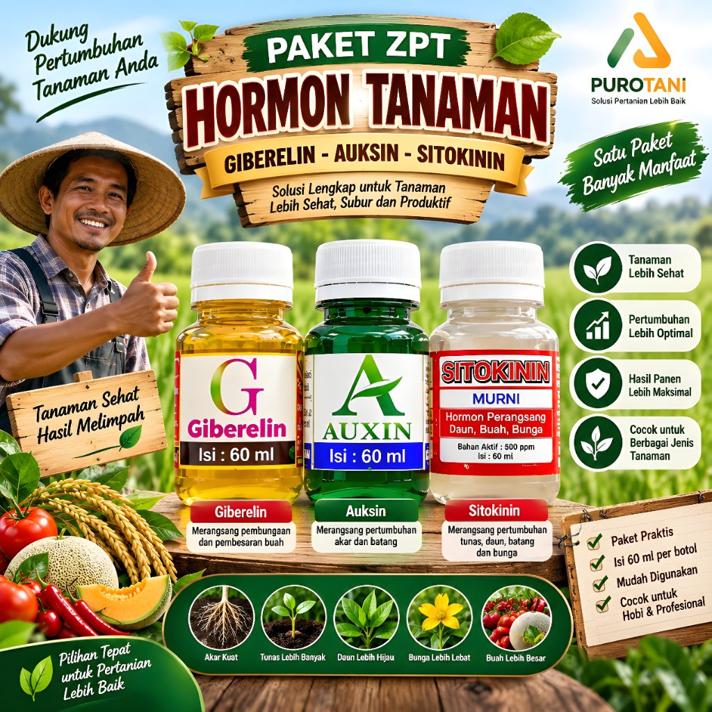 Paket ZPT Hormon Tanaman  Giberelin Auksin Sitokinin