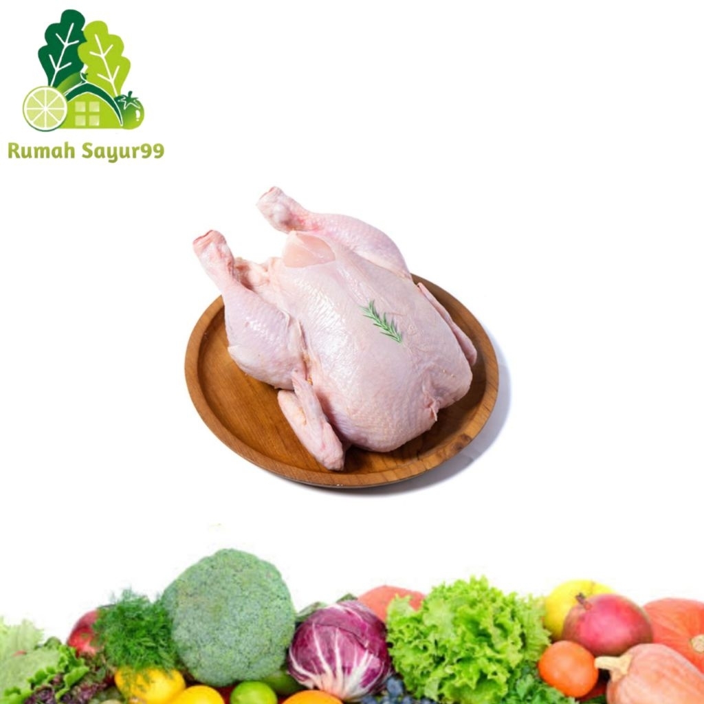 

Ayam utuh segar per ekor | ayam utuh super segar