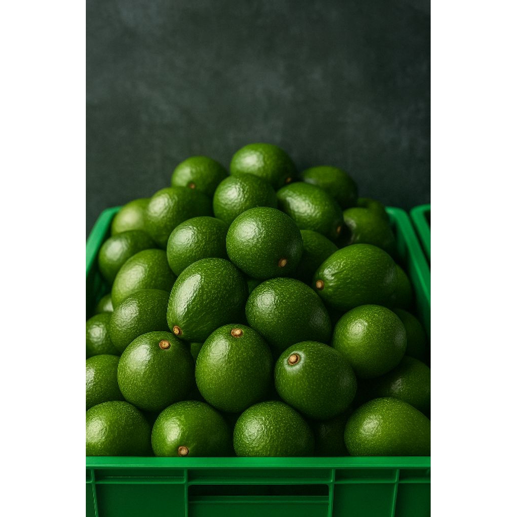 

Alpukat Miki Super Segar 1 Kg Isi 3–4 Buah | Buah Fresh Premium Bergizi