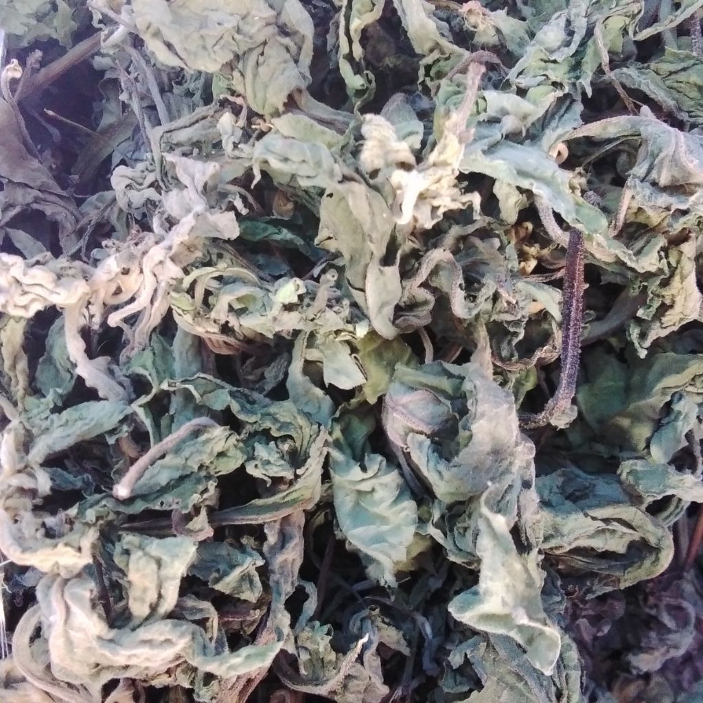 

DAUN INSULIN KERING OBAT DIABETES 100 GRAM