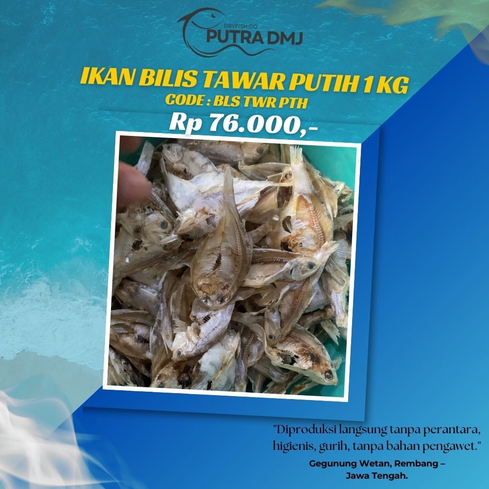 

Ikan Belek Bilis Tawar Putih Asin Kering 1 Kg – Gurih, Higienis, Tanpa Pengawet