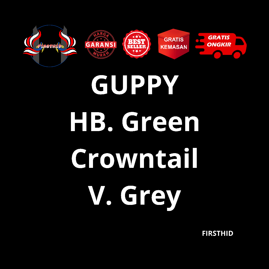 (BEST SELLER) Aksesoris Akuarium GUPPY HB Green CT Crowntail Half Black penghias kolam