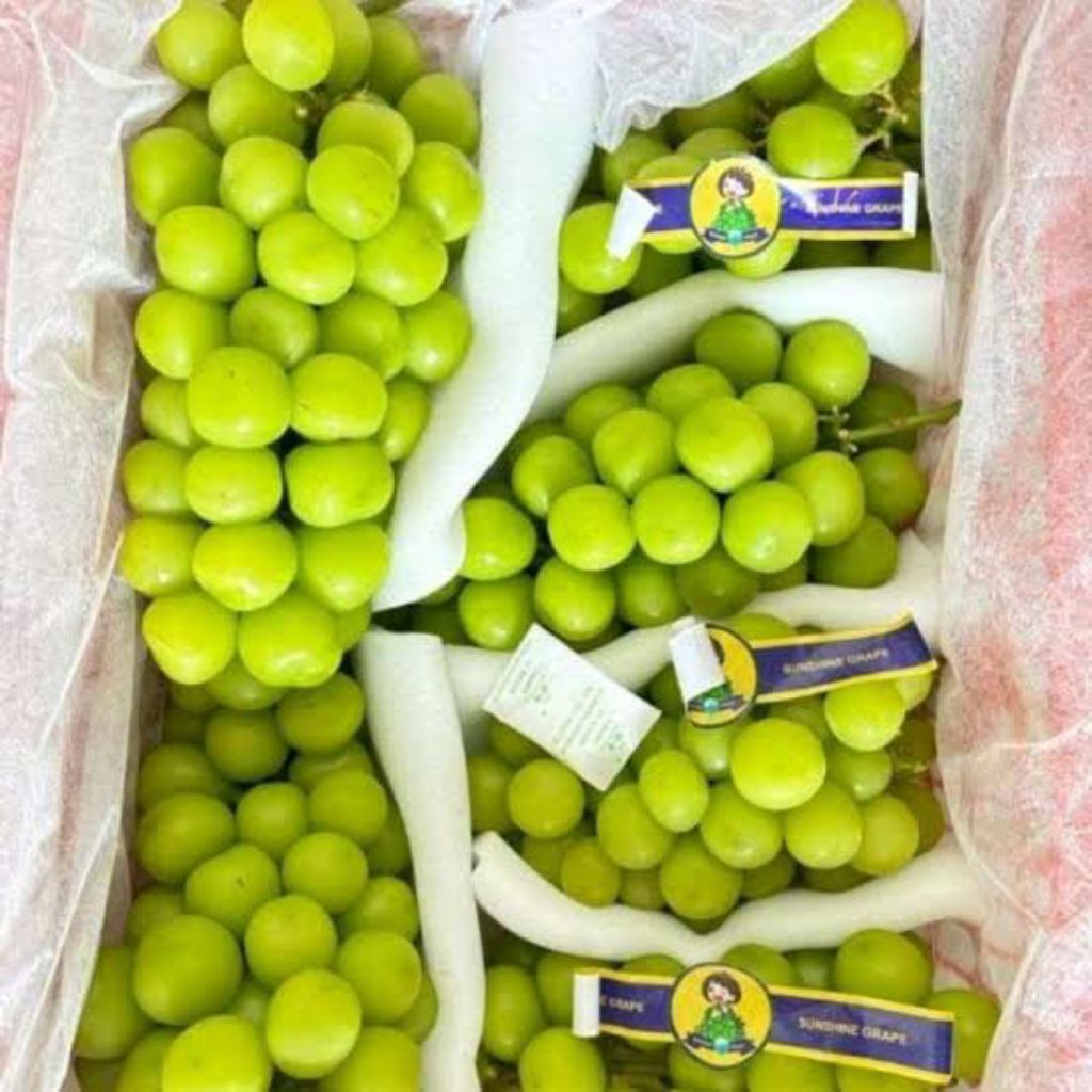 READY ANGGUR HIJAU MUSCAT 1 KRAT 5KG / ANGGUR HIJAU MANIS FRESH