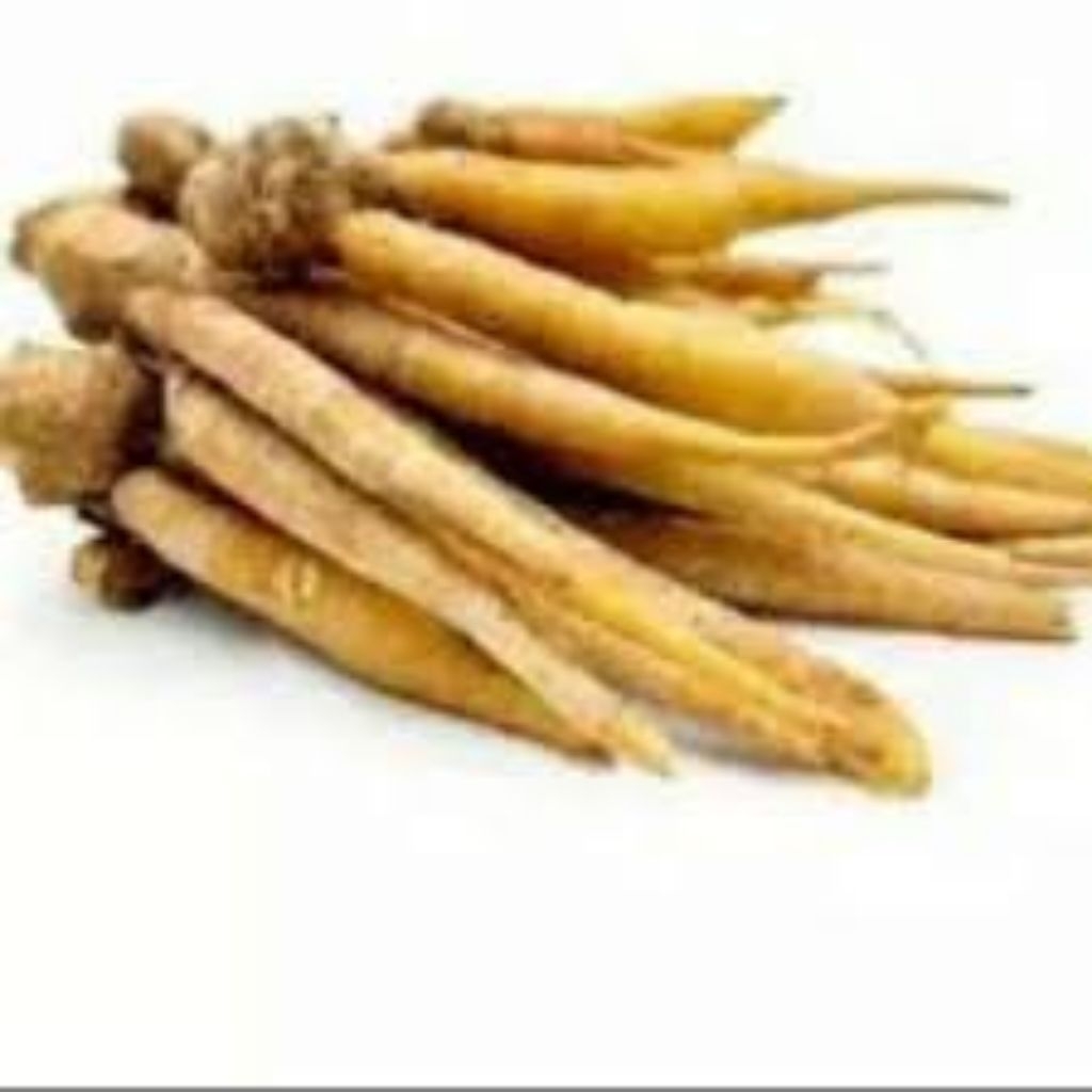 

temu_kunci_seger_fres_1kg