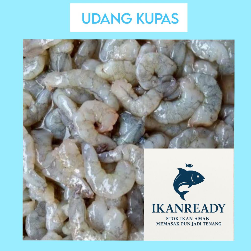 

Udang kupas siap Masak –Bersih, | IkanReady | udang tambak 500 gr