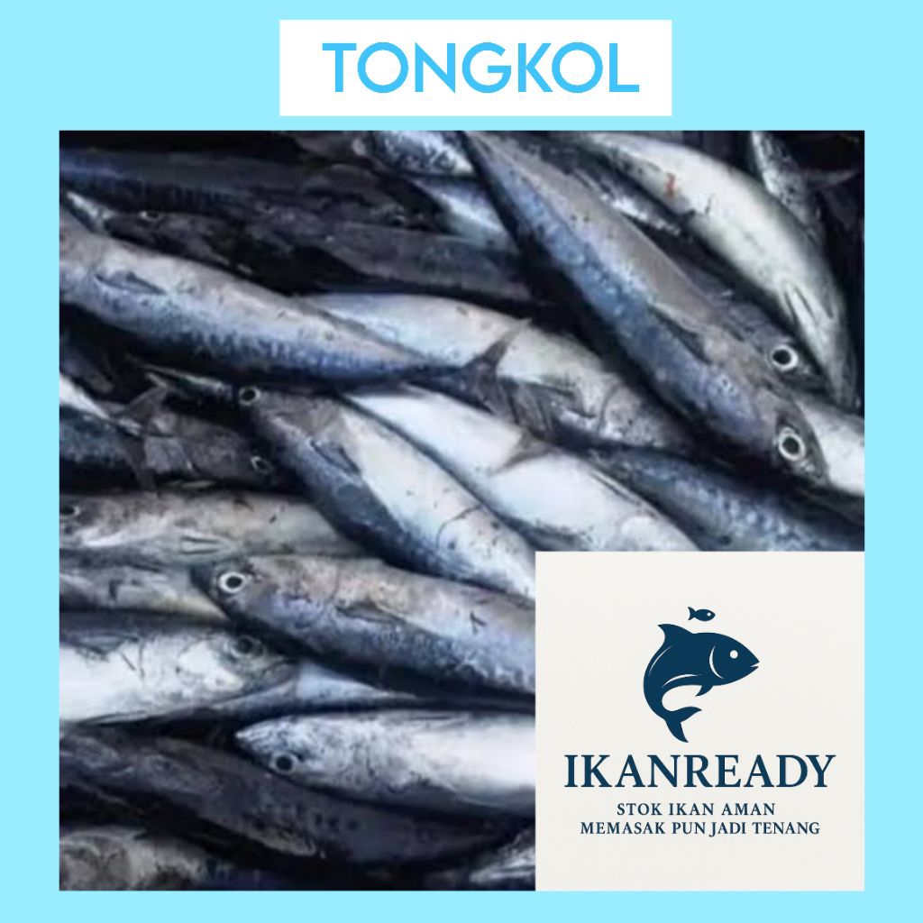 

Ikan Tongkol Segar 1kg Siap Masak – Daging Tebal & Bersih | IkanReady