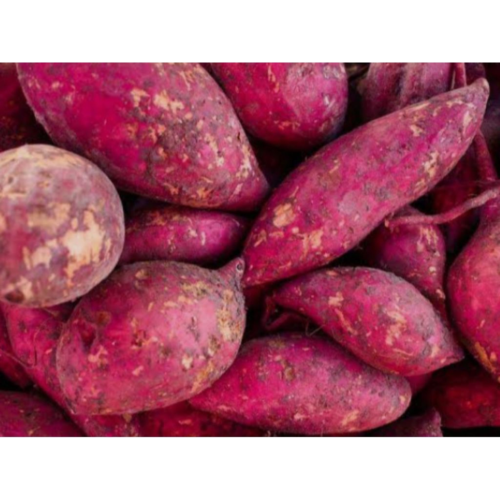 

Ubi Ungu / Ubi Jalar Ungu / Ubi Jepang Super 1kg