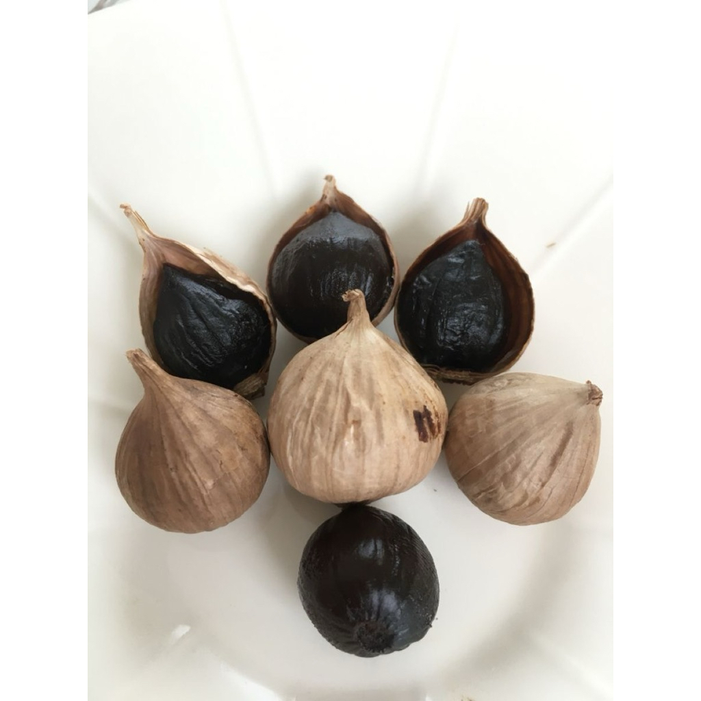 

Black Garlic MBX Bawang Hitam Tunggal || Bawang Putih Lanang || Black Garlic MBX (Multi Benefit Xtra)