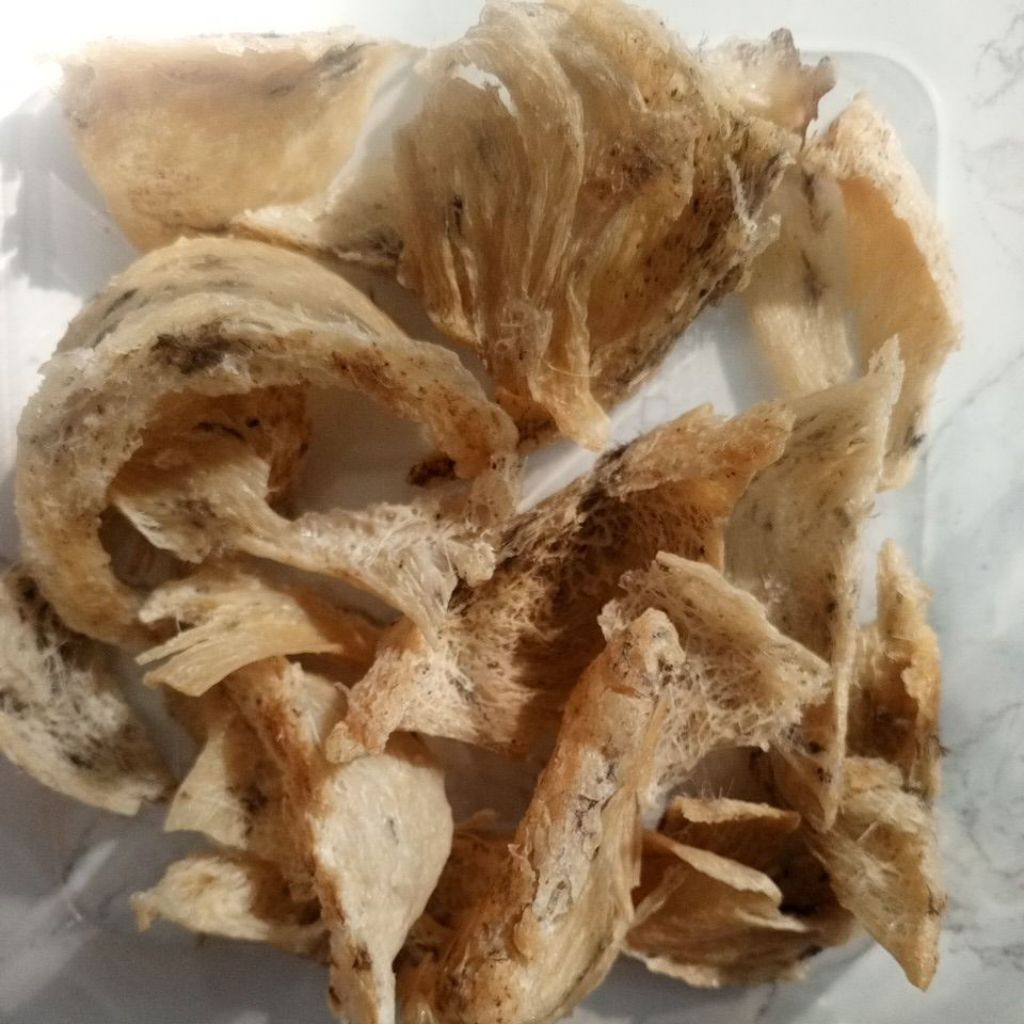 

SarangBurungWaletpatahan campur warna blewah