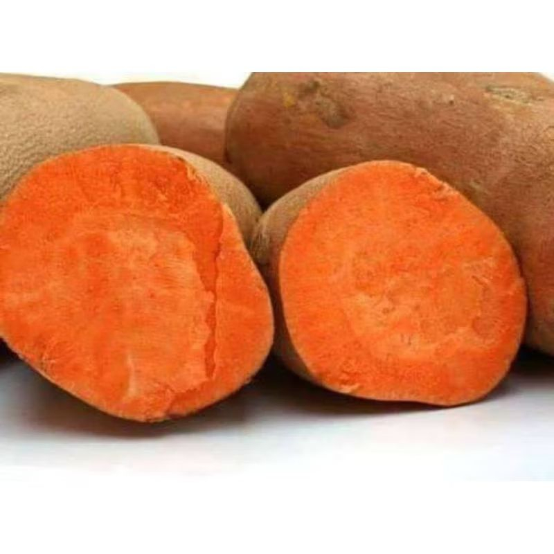 

1 Kg Ubi Jalar Orens / Ubi Orens Organik