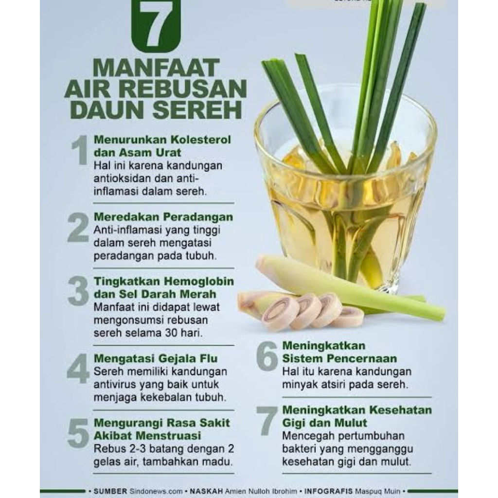 

SEREH Herbal jumbo dan bersih (1kg )