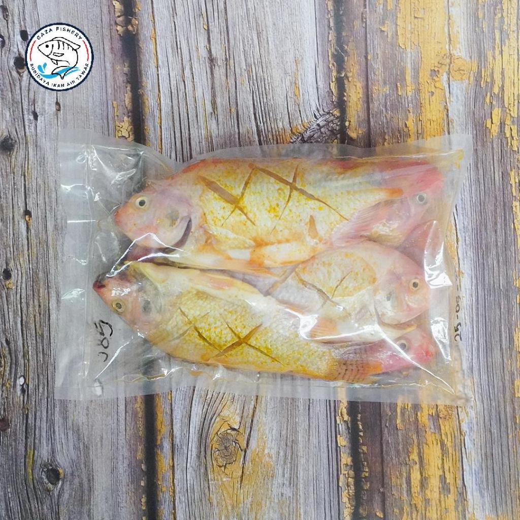 

Ikan Nila Segar ikan Nila Fresh Bumbu Marinasi (FROZEN)