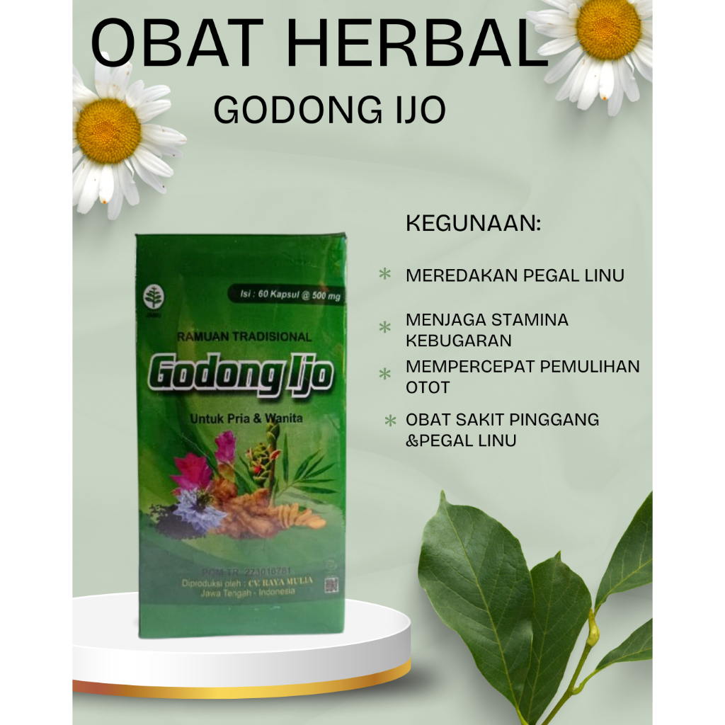 

Obat Herbal Godong Ijo Meredakan Nyeri Sendi BPOM Melancarkan Peredaran Darah