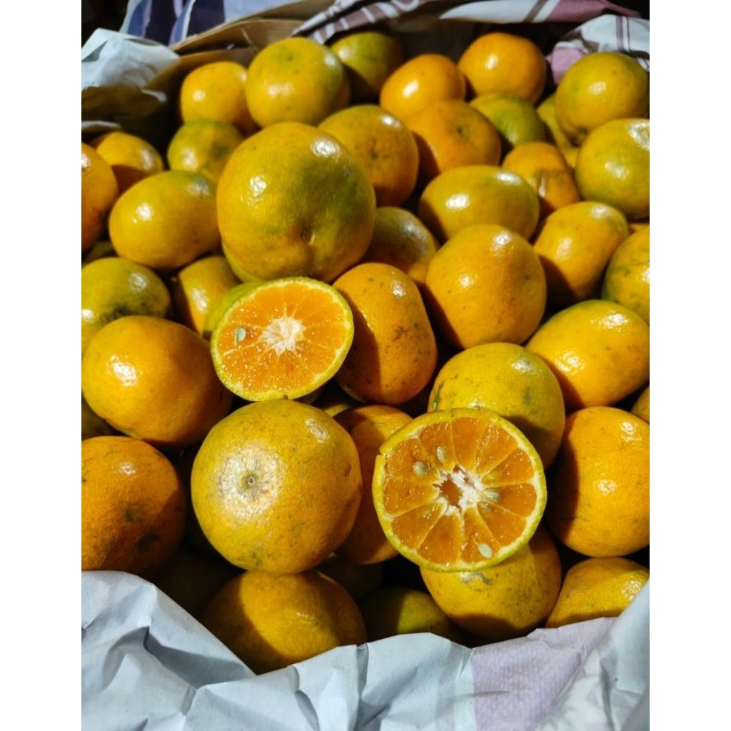 

JERUK MEDAN MANIS/JERUK MEDAN BERASTAGI 1Kg Code-013