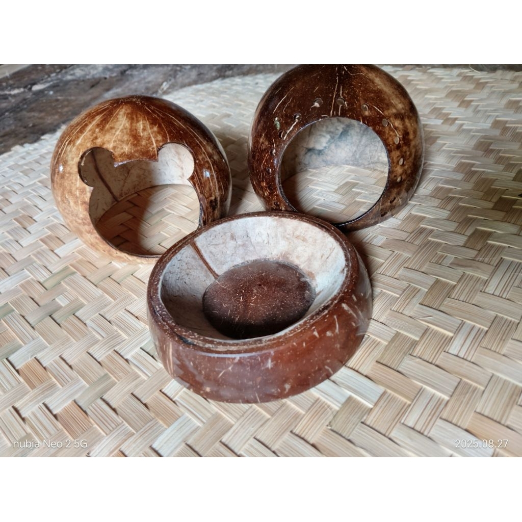 Hiding cave hamster gecko kelomang kadal