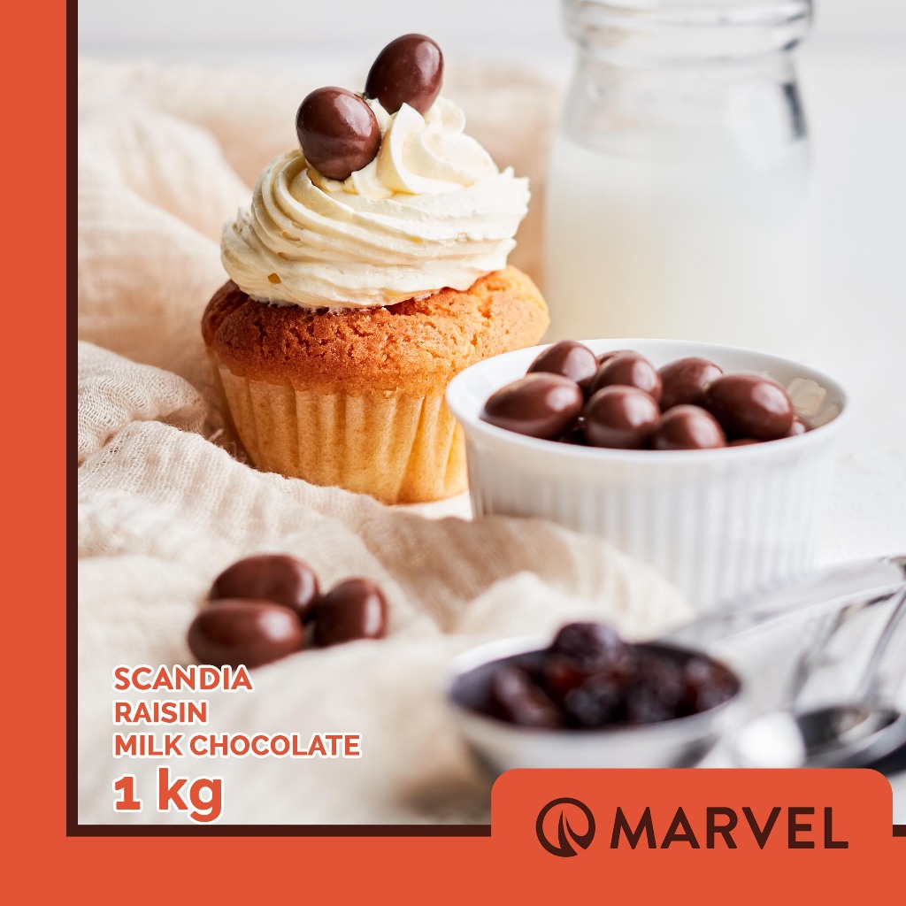 

SCANDIA COKLAT SUSU ISI RAISIN KEMASAN 1 KG