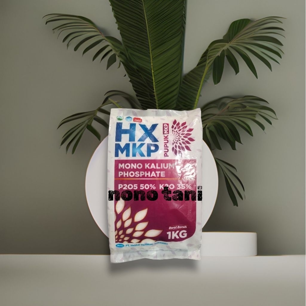 hx mkp pupuk mkp mono kalium phosphate p205 50% k20 35% 1kg
