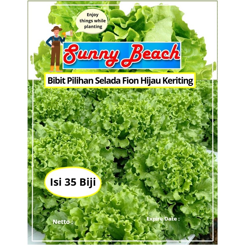 Bibit Pilihan Selada Fion Hijau Keriting | Biji Benih Selada Fion Hijau Keriting  |Selada Fion Hijau