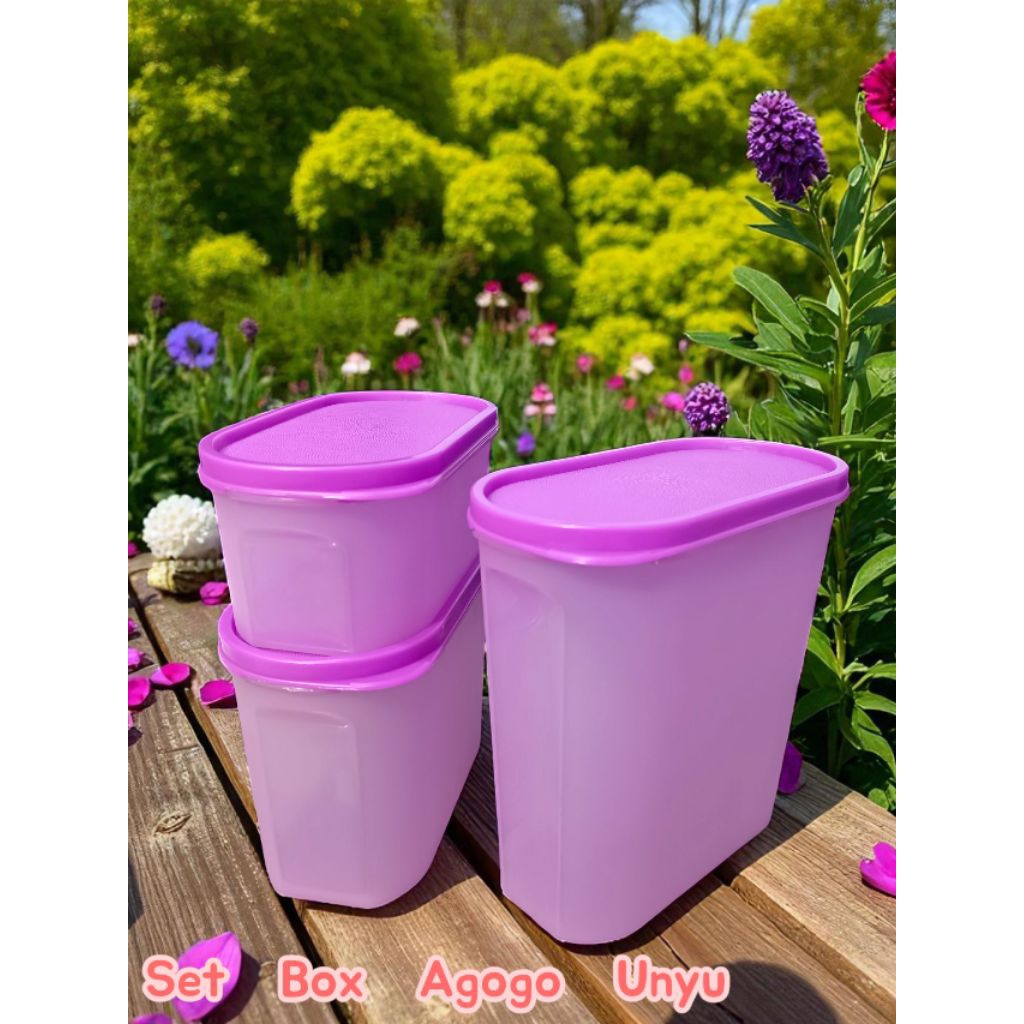 Set Box Agogo Oval Cute DJP