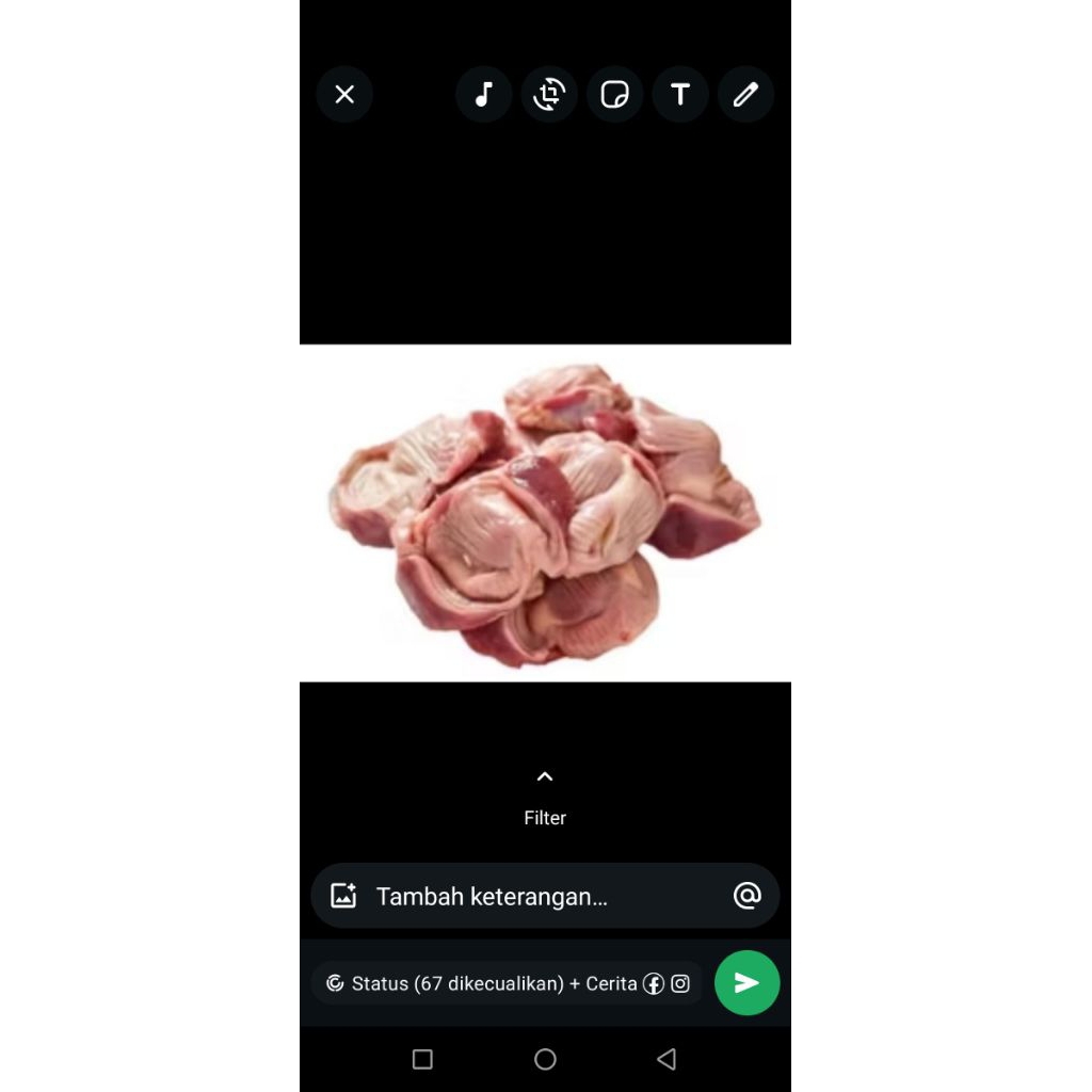 

AMPELA AYAM BERSIH KEMASAN 500GR