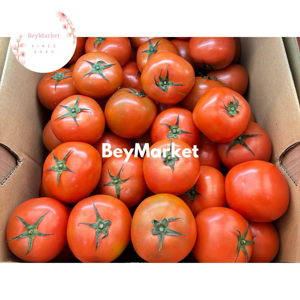 

Tomat Beef Merah 1kg