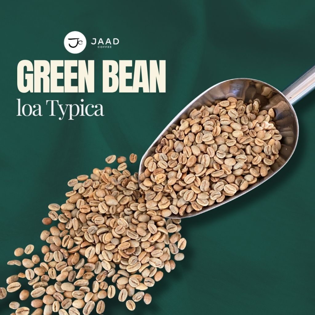 

Green Bean Loa Typica Natural Grade Specialty Coffee - Biji Kopi Mentah 1kg by Jaad Coffee