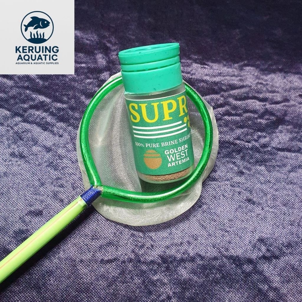 Paket Artemia Supreme Plus Golden West Kultur 10gram Serok 5,5 cm Artemia Tetas Untuk Pakan Burayak 