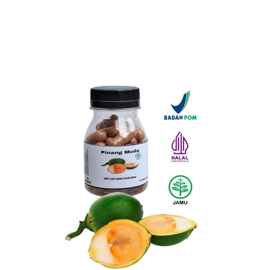 PINANG MUDA ASLI ISI 35 KAPSUL Terlaris