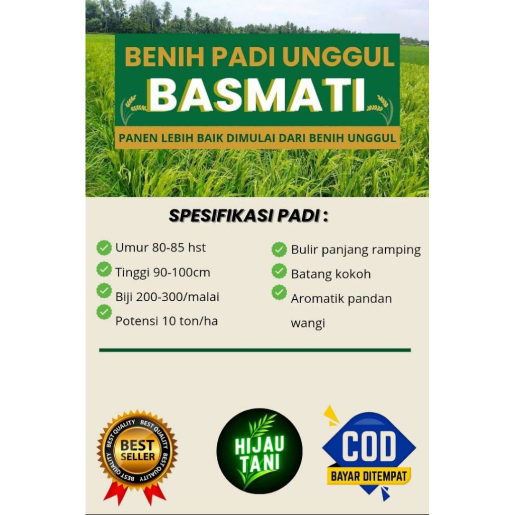 (10KG) BENIH PADI BASMATI ORIGINAL BERKUALITAS UNGGUL