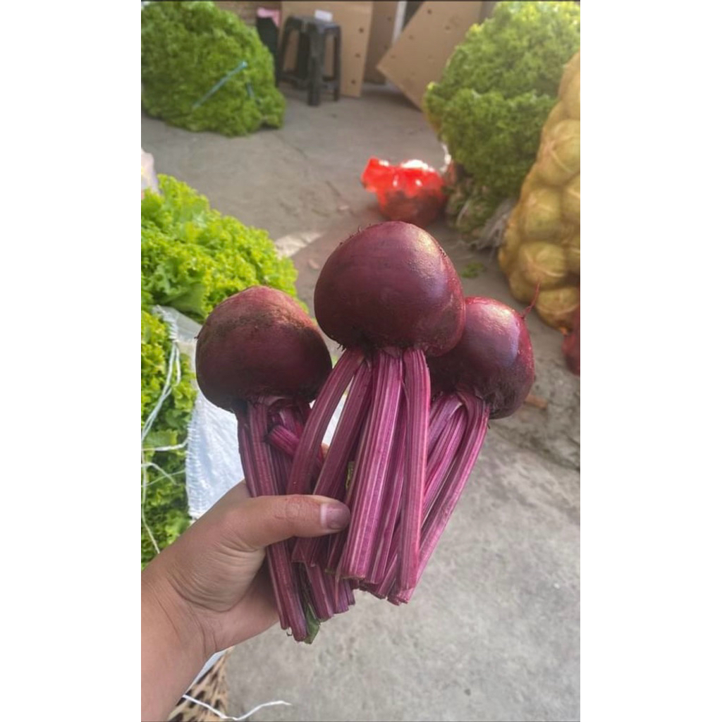 

BUAH BIT 1 Buah ( 200 gr )
