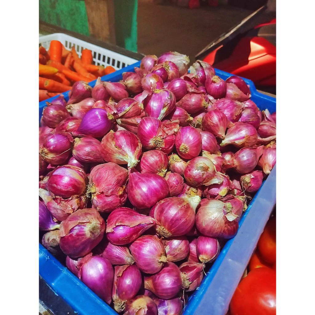 

Bawang Merah Brebes Super 1 KG | Besar-besar 1 KG | Hania