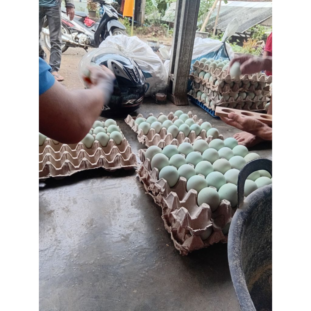 

telur asin grade AB/ Besar