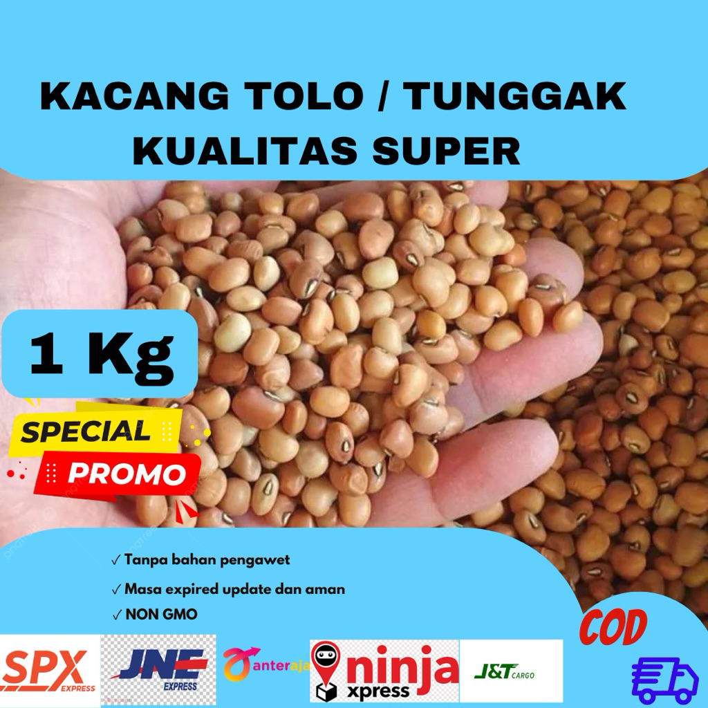 

PROMO KACANG TOLO / TUNGGAK 1 KG SUPER