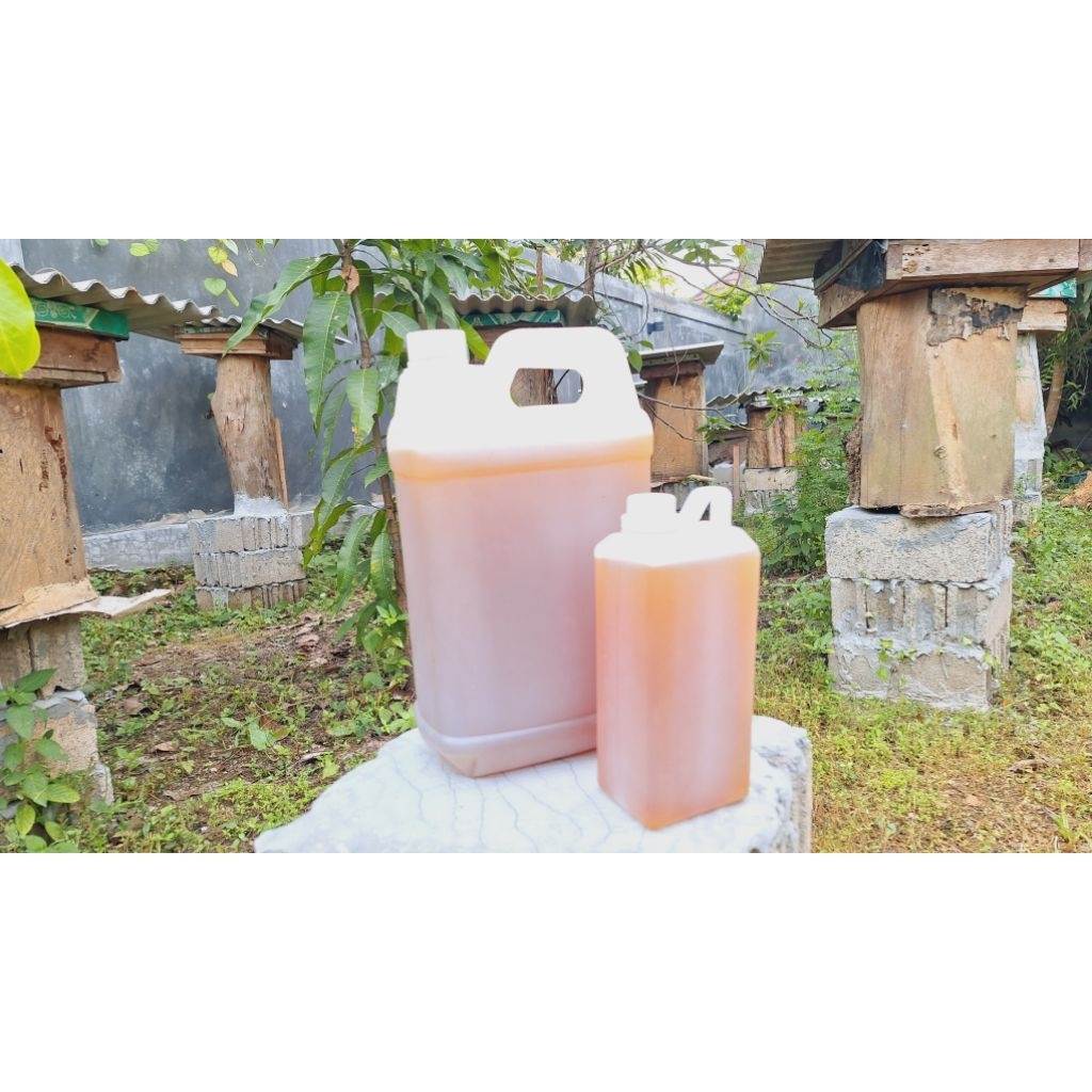 

Madu Kai - Madu Kelulut Kalimantan Selatan