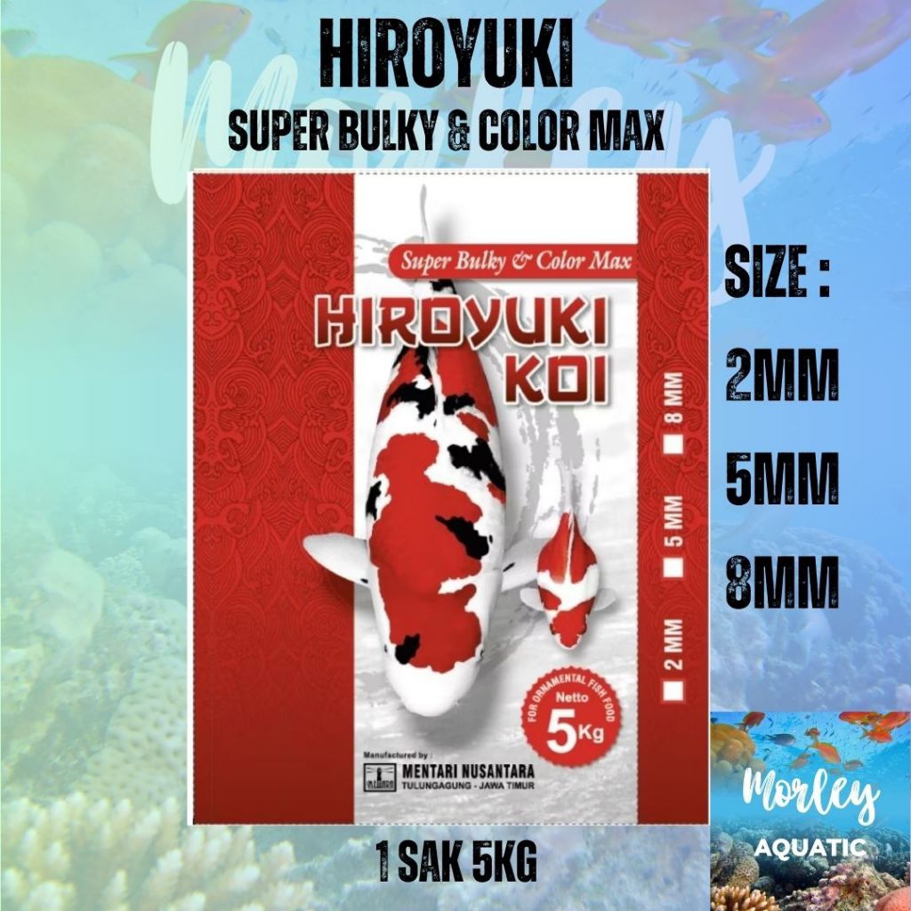 HIROYUKI SUPER BULKY & COLOR MAXIMUM 5KG