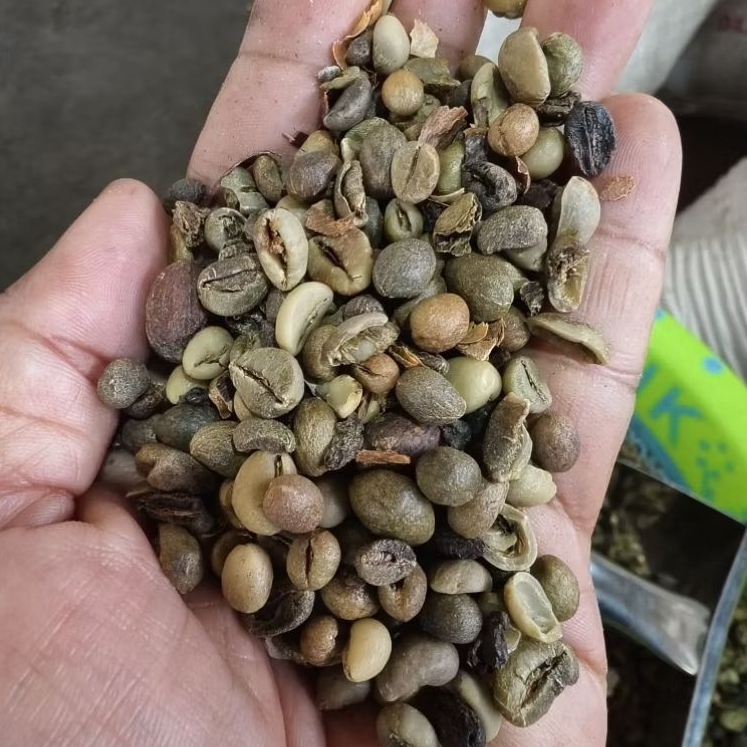 

Kopi Pixel. kopi rijek 1kg. Kopi Pupuan,Tabanan, Bali