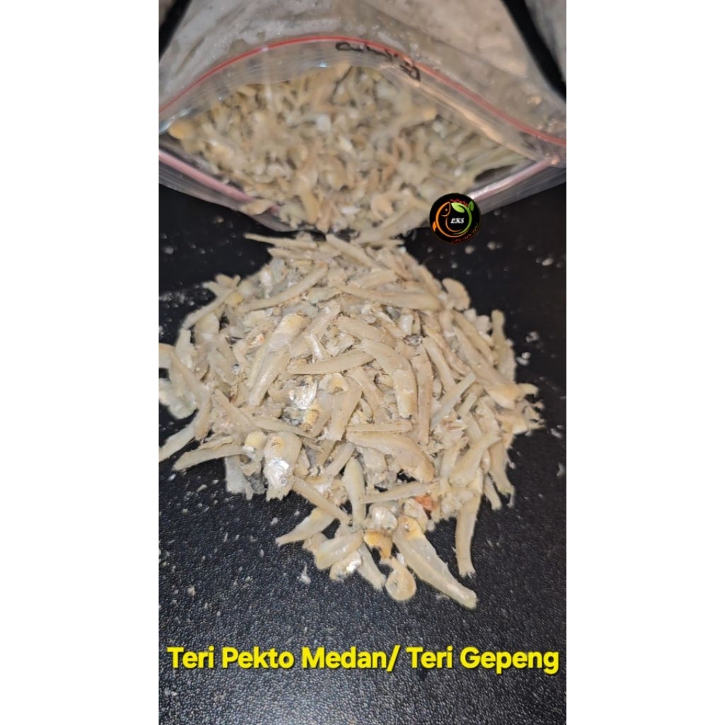 

[ TERJANGKAU ] TERI PEKTO MEDAN / TERI GEPENG