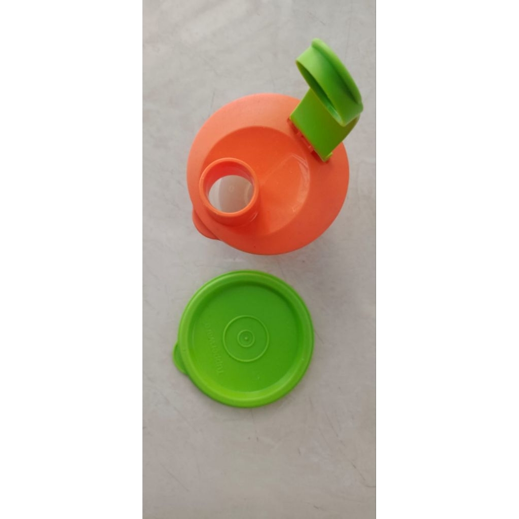 Wadah Tempat Susu Bayi Tupperware Ori (preloved)