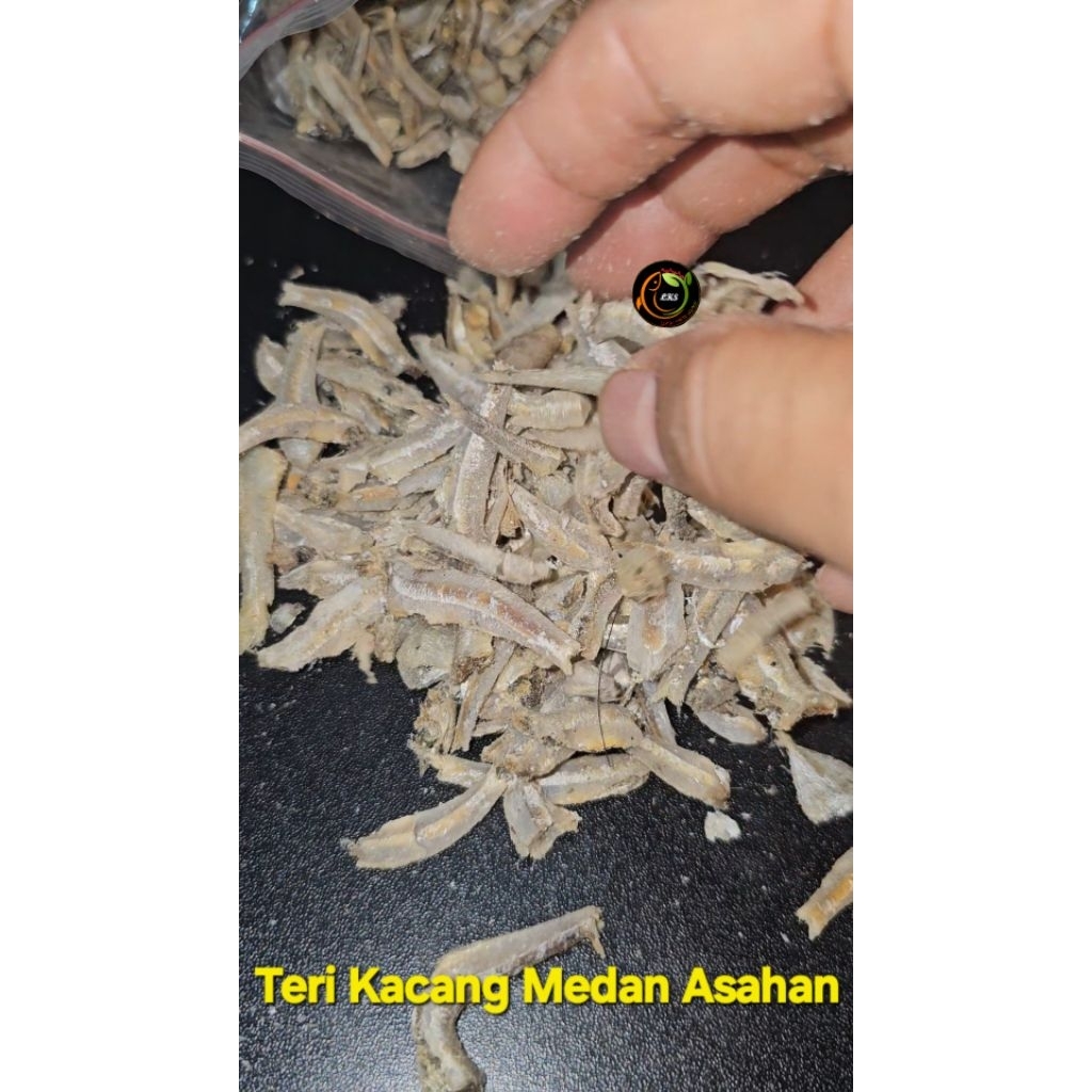 

[ TERJANGKAU ] IKAN TERI KACANG MEDAN ASAHAN TERI KACANG LOKAL