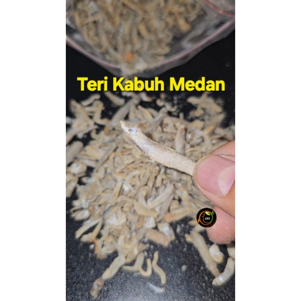 

IKAN TERI KABUH MEDAN