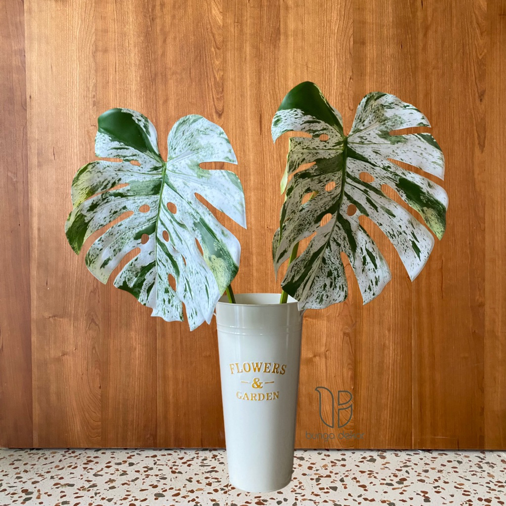 Daun Monstera Latex XL
