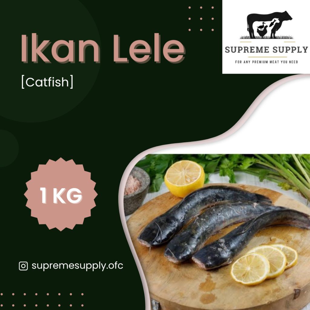 

PREMIUM Ikan Lele 1 kg [±8 Ekor] | Fresh Halal Organic Catfish Fish Seafood Segar Frozen