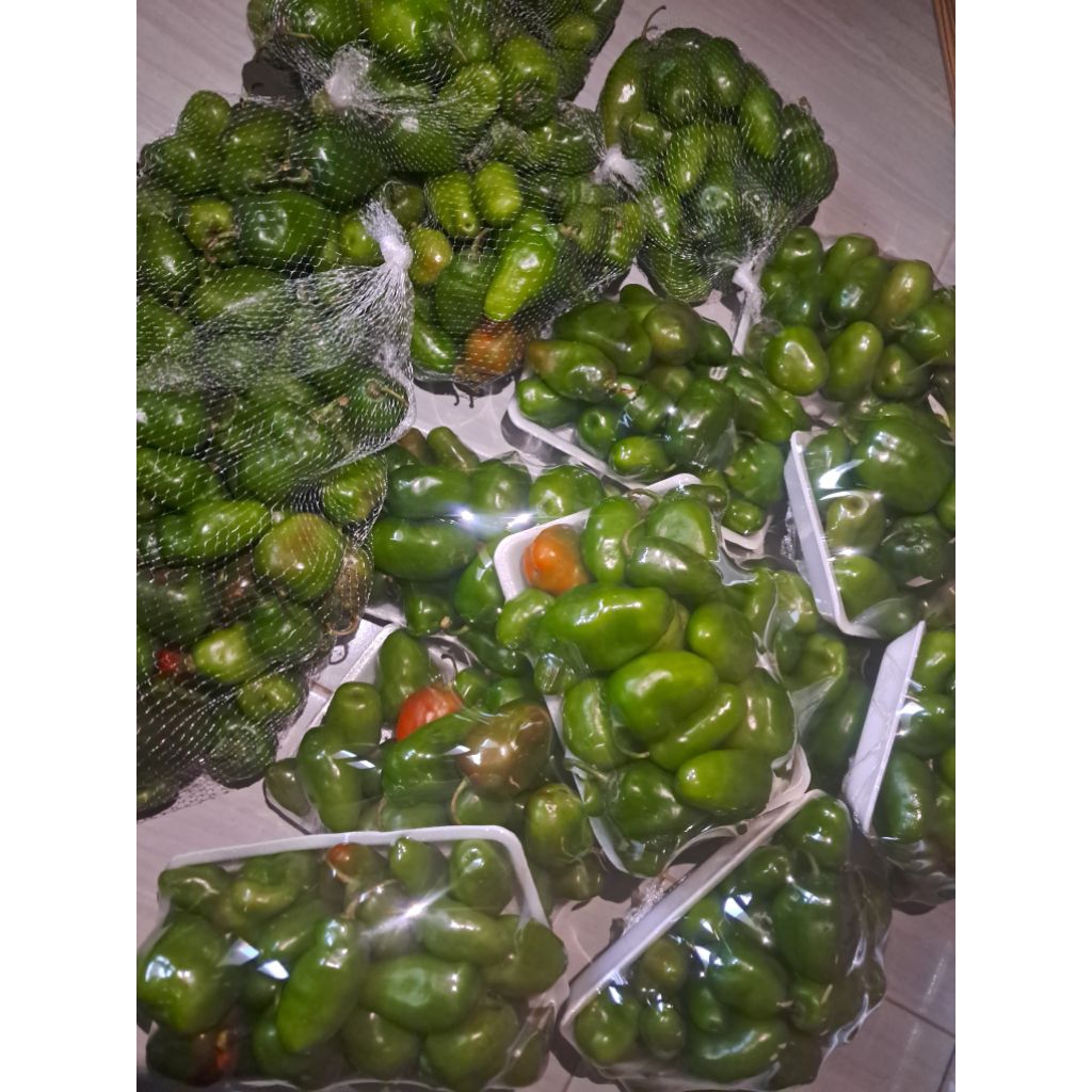 

CABE GENDOT!! MURAH MERIAH, PROMO TERBATAS!! Pedas Spices!!