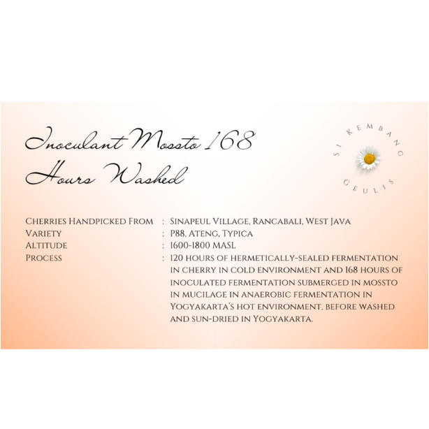 

Green Bean Arabica Sinapeul West Java Inoculant Mossto 168 Hours Washed - Biji Kopi Arabika Mentah