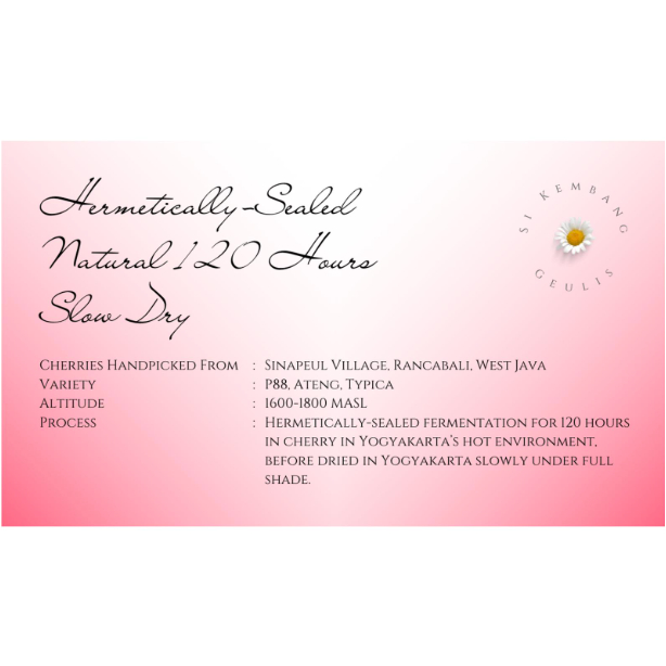 

Green Bean Arabica Sinapeul Hermetically-Sealed Natural 120 Hours Slow Dry - Biji Kopi Arabika Mentah