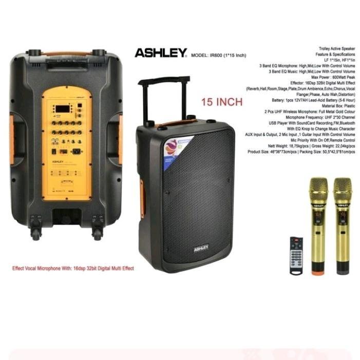 speaker portable ashley ir600 ir 600 15 inch