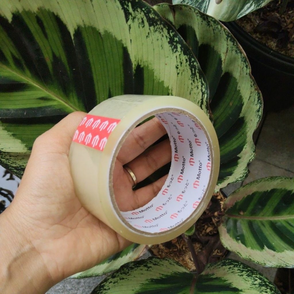 

Lakban Bening 45mm x 50 Yard - Lakban OPP - Motto Tape 1pcs