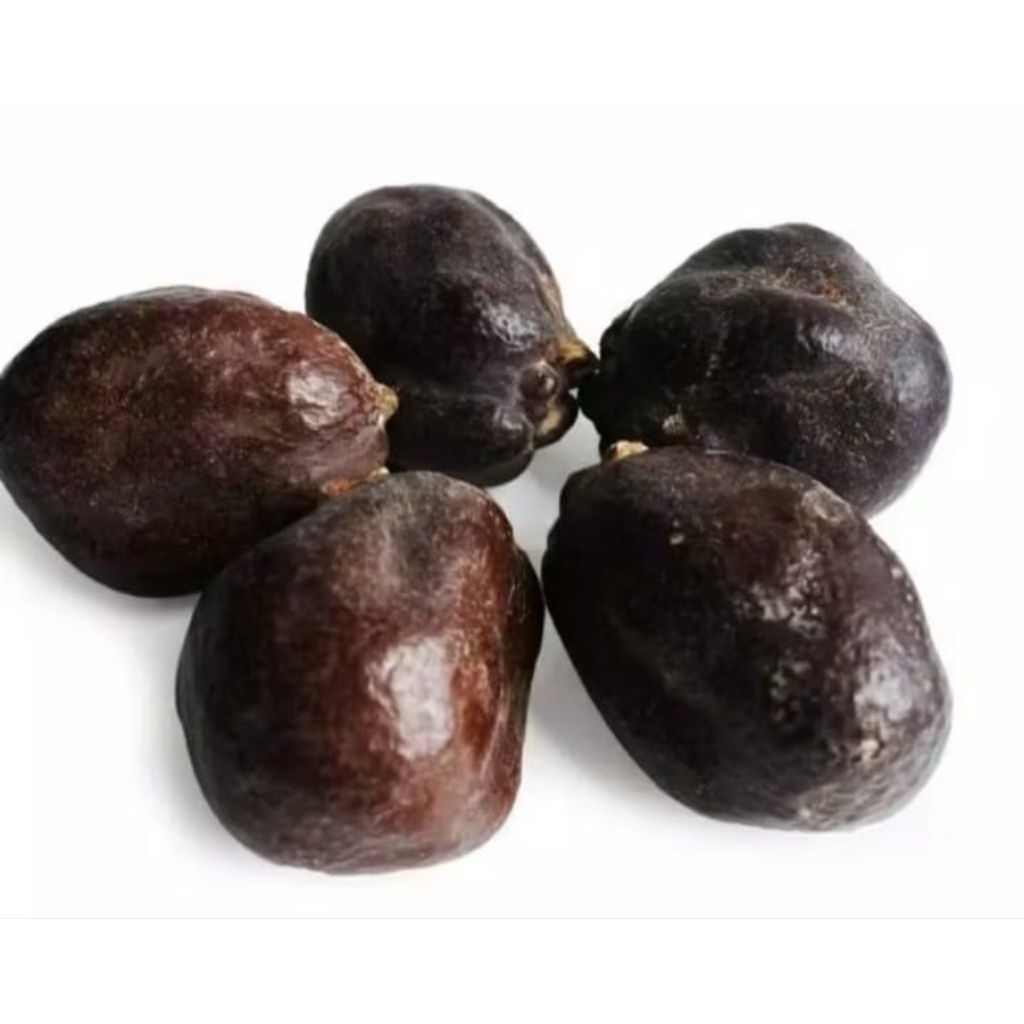 

DOUM || BUAH ZURIAT MADINAH 1 KG